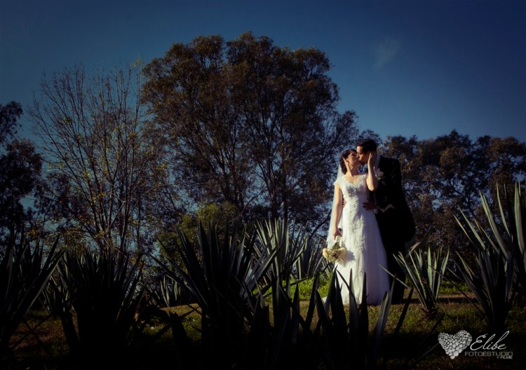 Pronto la Cobertura completa.